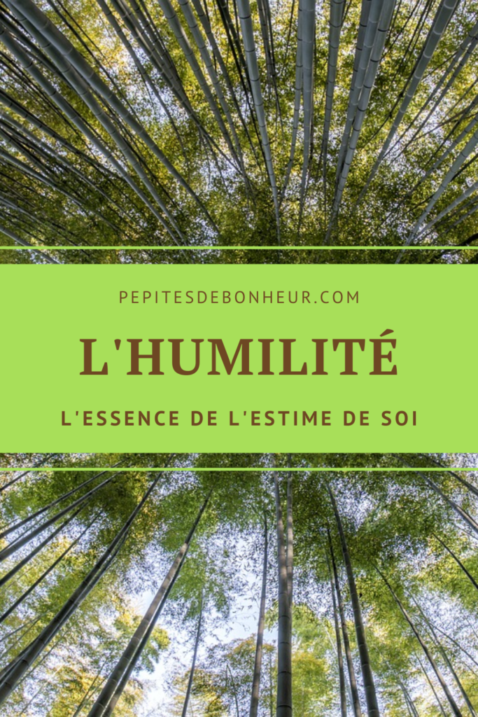 épingle pinterest l'humilité l'essence de l'estime de soi