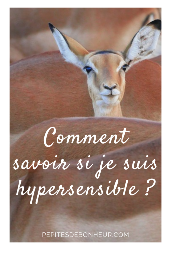 affiche pinterest comment savoir si je suis hypersensible ?