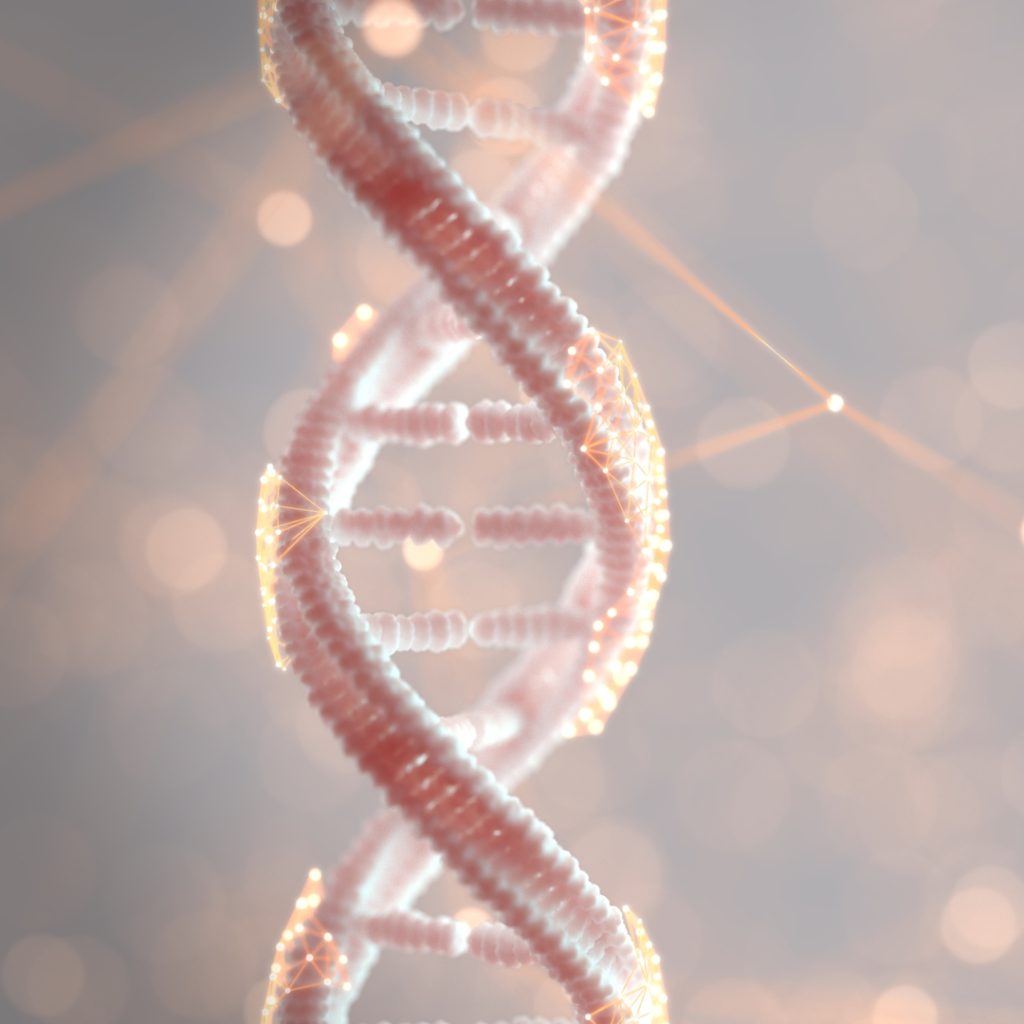 ADN - hérédité de l'hypersensibilité 